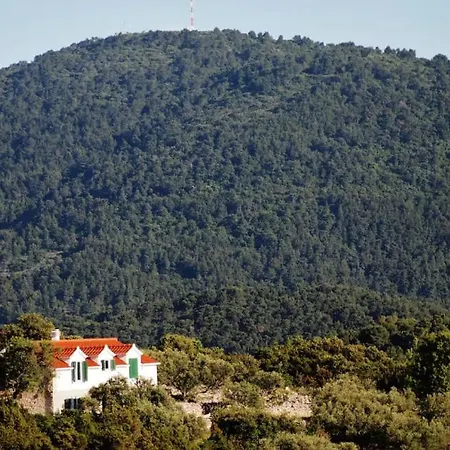 Vila Jelena By Guide *